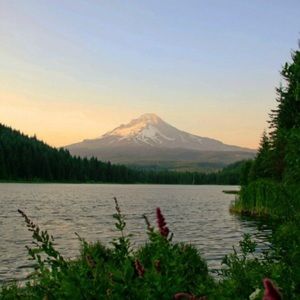 Meet your Posher, Alexa